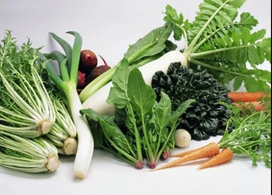 绿菜为主，补维生素
