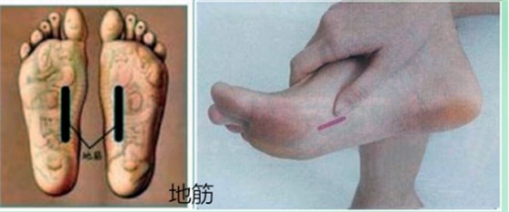 头道汤