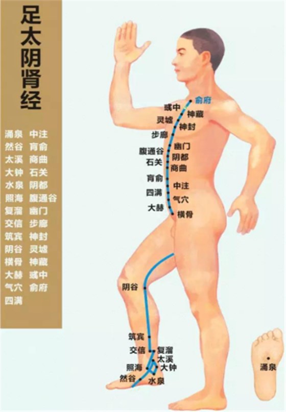 头道汤