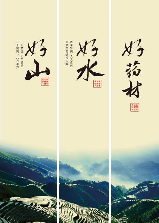 头道汤