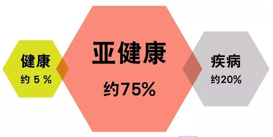 头道汤