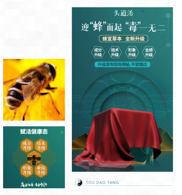 2022年头道汤可持续商业峰会暨杨丽萍形象代言发布会