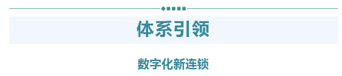 体系引领数字化新连锁